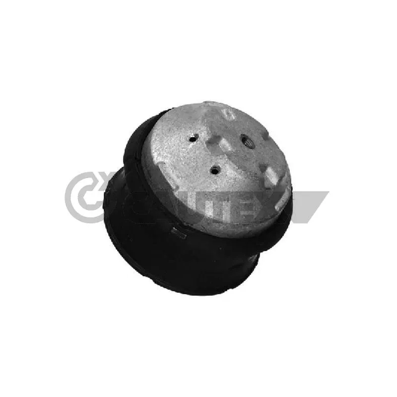 Support moteur CAUTEX 755971