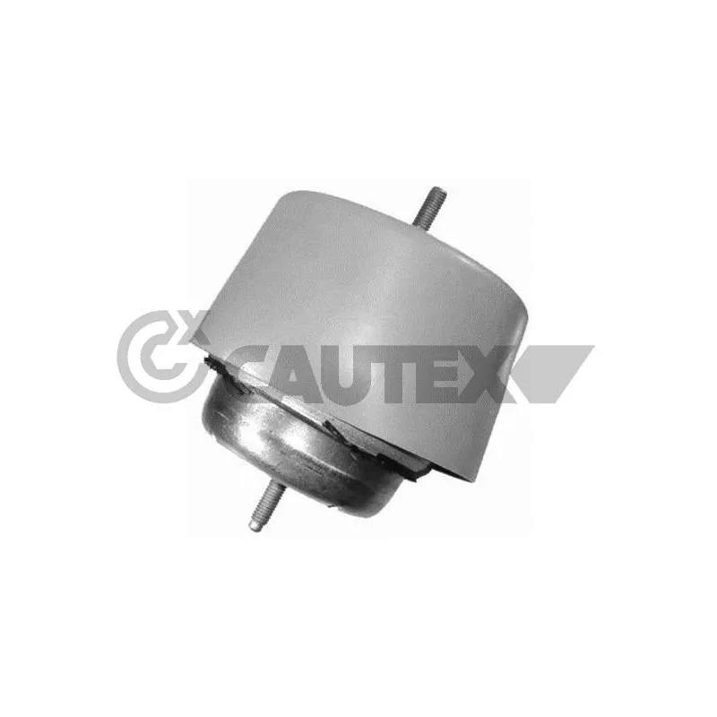 Support moteur CAUTEX 755979