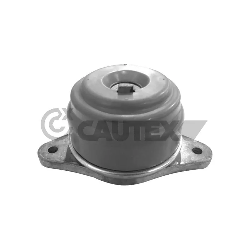 Support moteur CAUTEX 755980