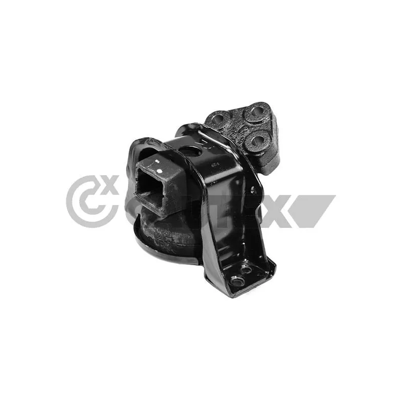 Support moteur CAUTEX 755981