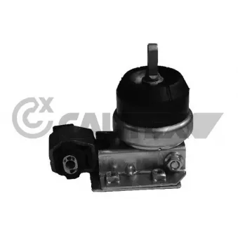 Support moteur CAUTEX 755997