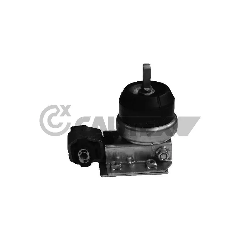Support moteur CAUTEX 755997