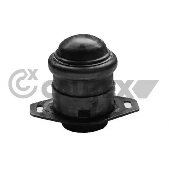 Support moteur CAUTEX 756008