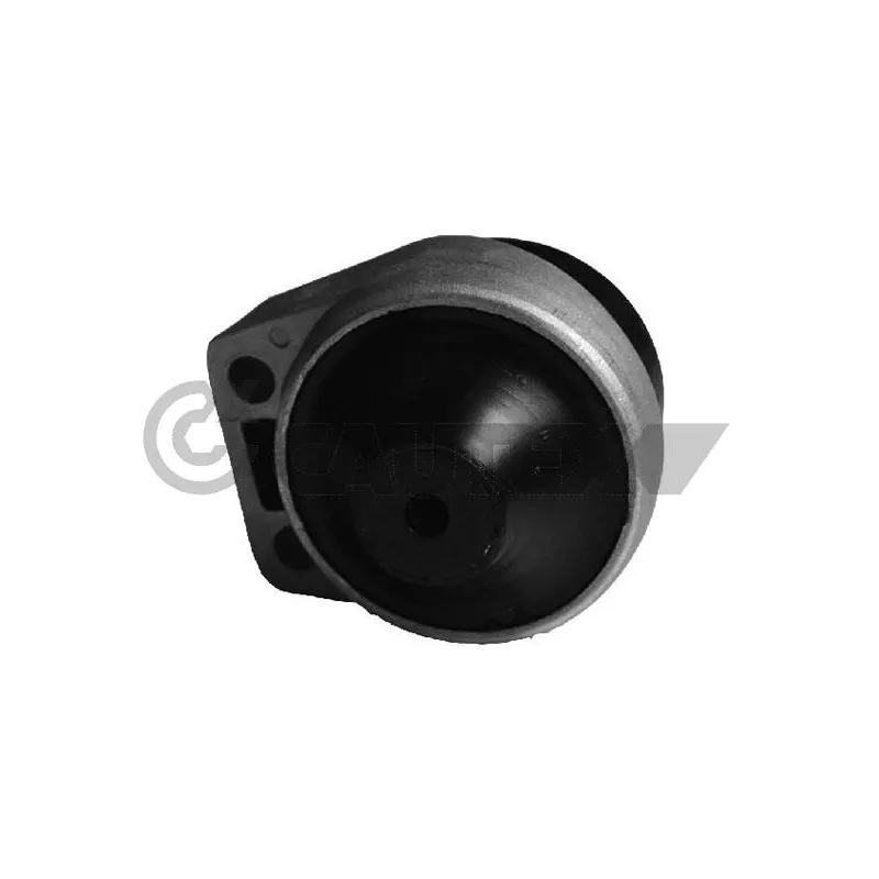 Support moteur CAUTEX 756022