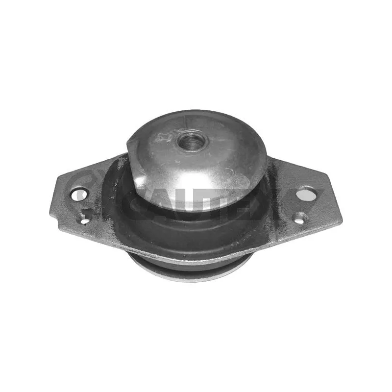 Support moteur CAUTEX 756025