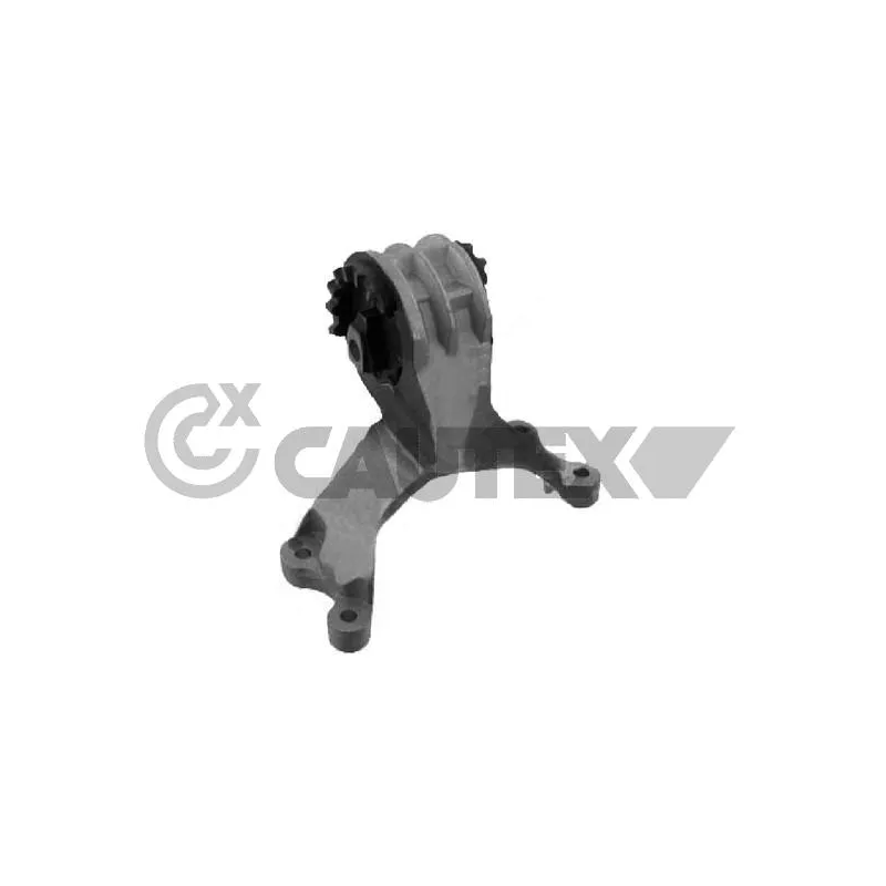 Support moteur CAUTEX 756032