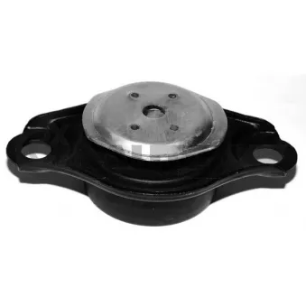 Support moteur CAUTEX 756088