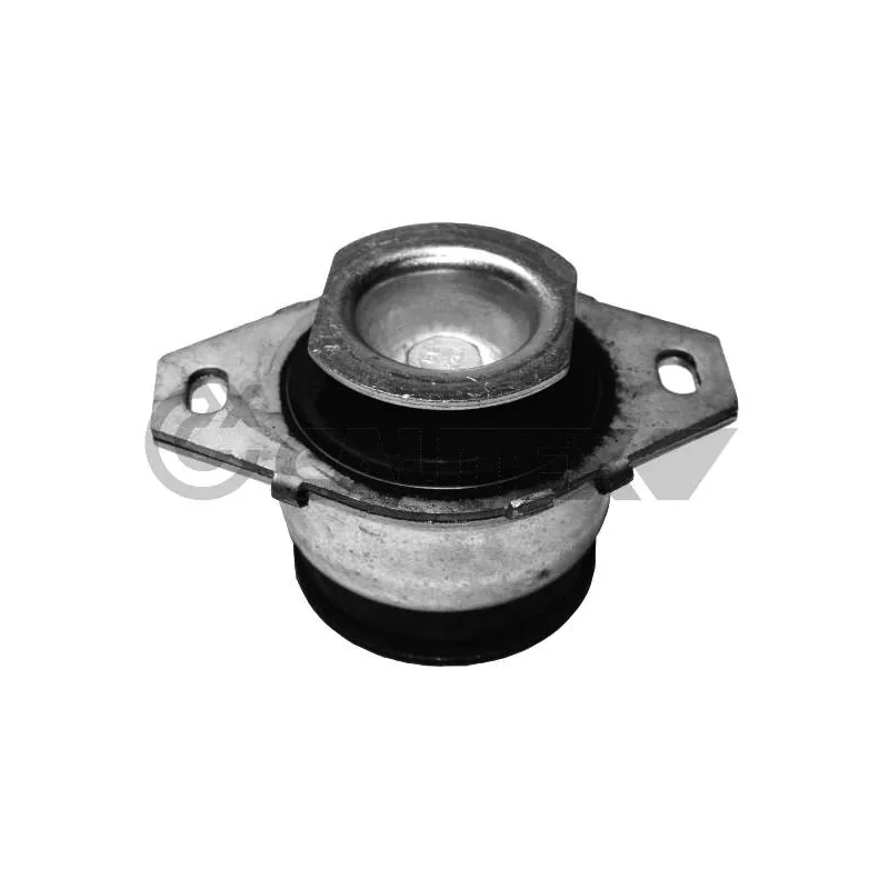 Support moteur CAUTEX 756121
