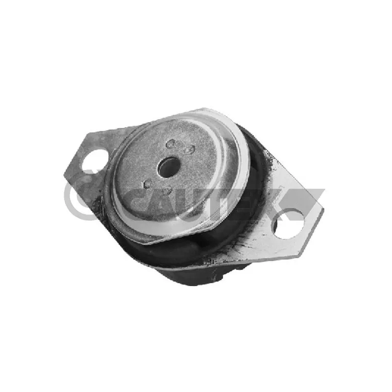 Support moteur CAUTEX 756123