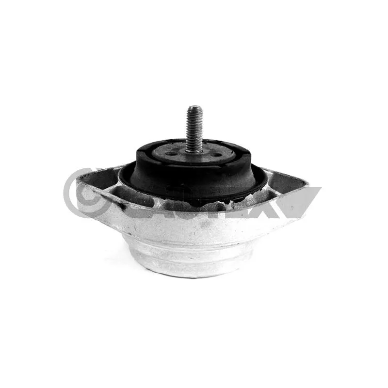 Support moteur CAUTEX 756160