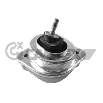 Support moteur CAUTEX