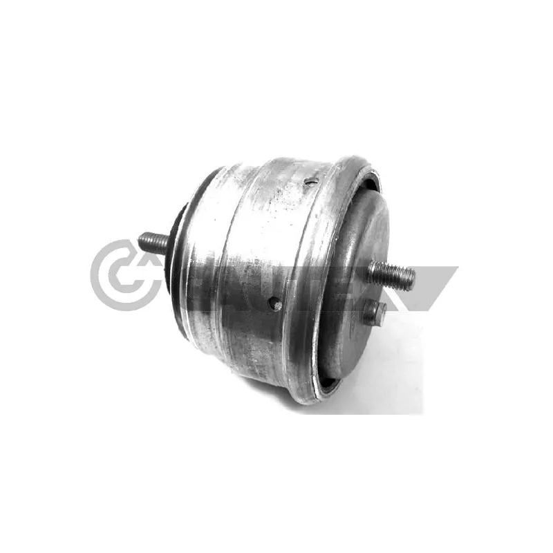 Support moteur CAUTEX 756167