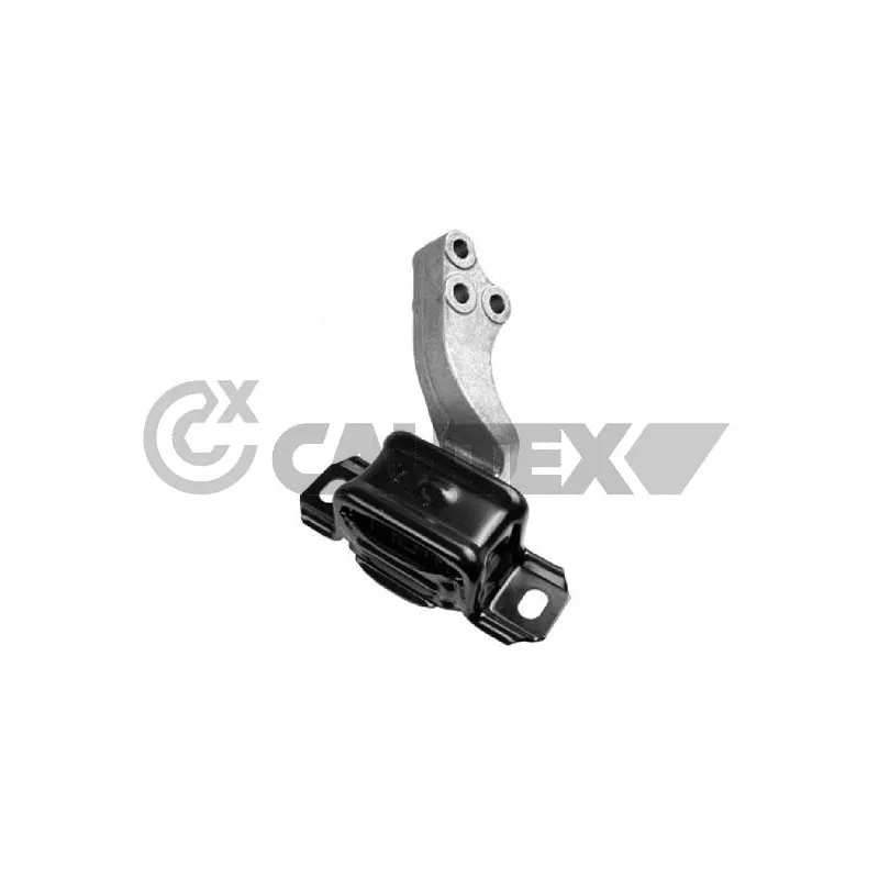 Support moteur CAUTEX 756168