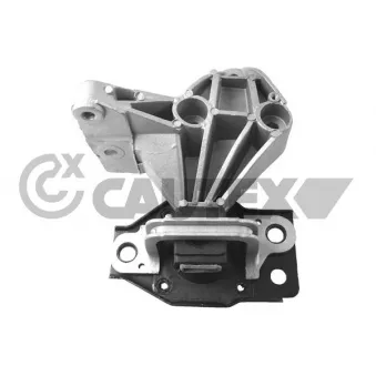 Support moteur CAUTEX 756190