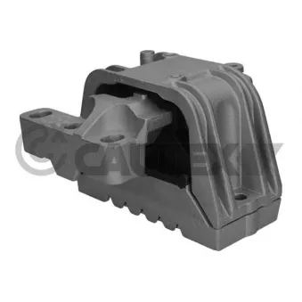 Support moteur CAUTEX 756269