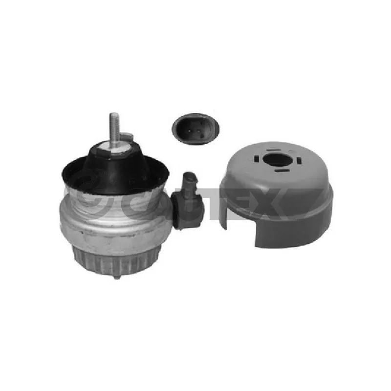 Support moteur CAUTEX 756275