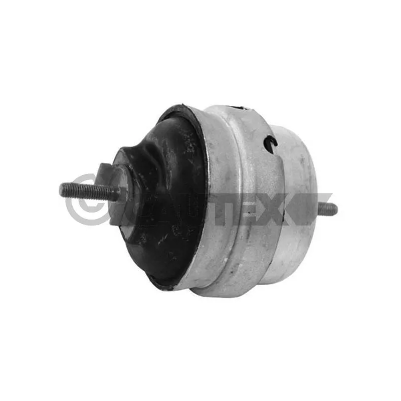 Support moteur CAUTEX 756278
