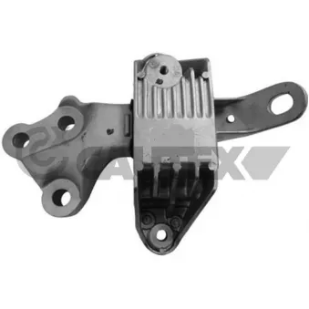 Support moteur CAUTEX 756297