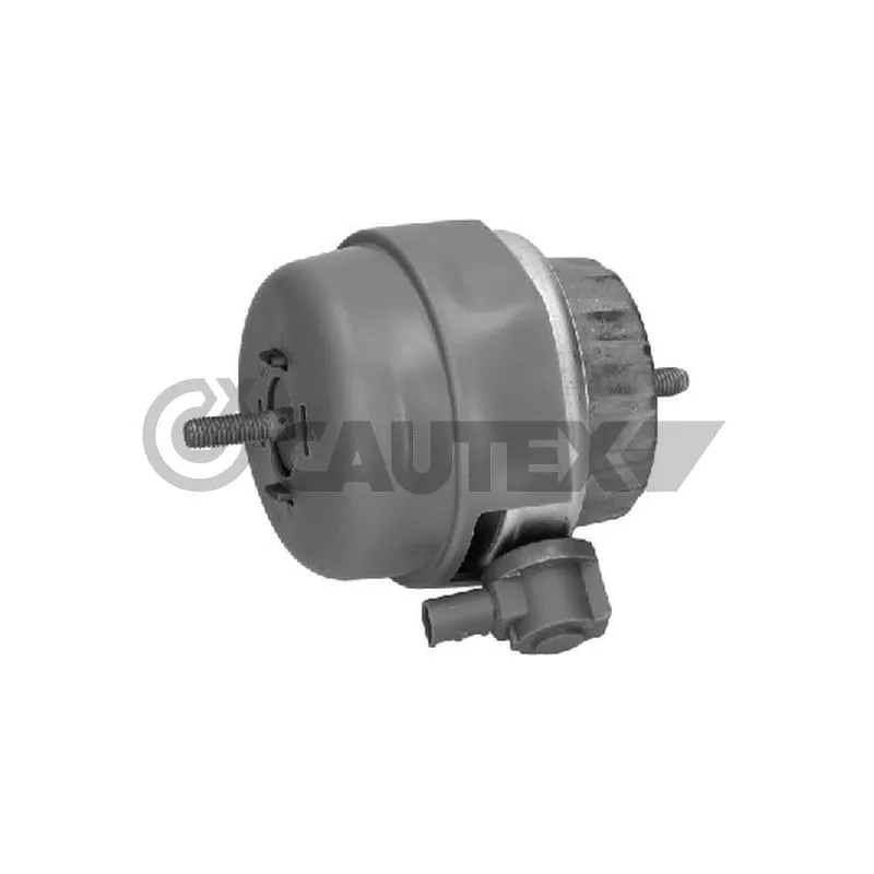 Support moteur CAUTEX 756317