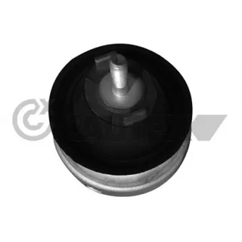 Support moteur CAUTEX 756349