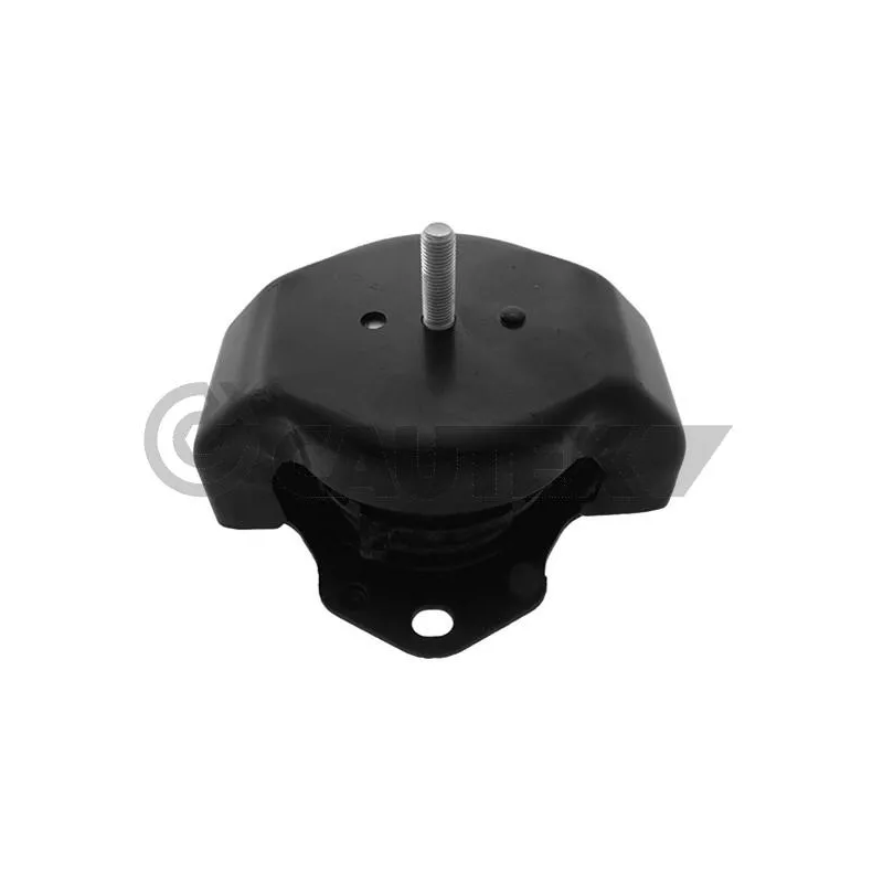 Support moteur CAUTEX 756415
