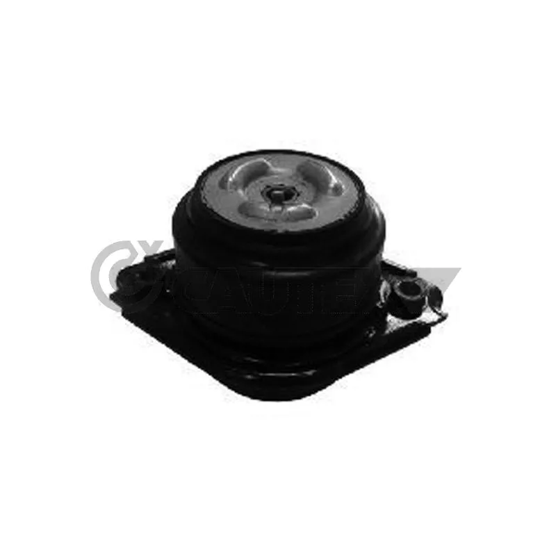 Support moteur CAUTEX 756437