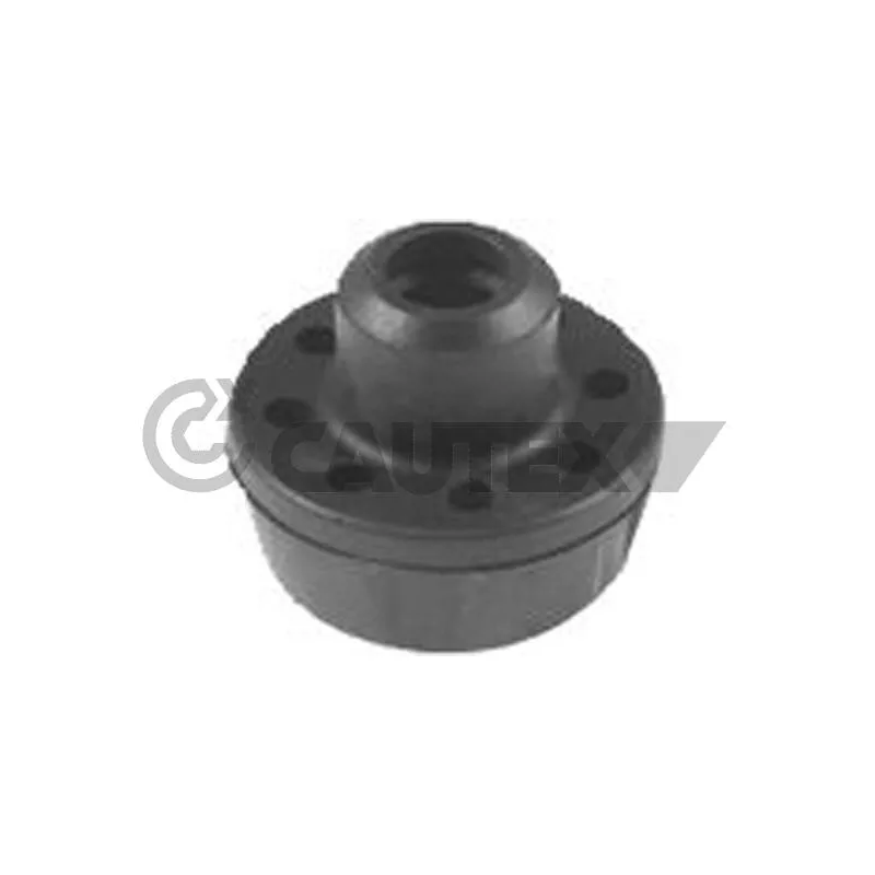 Suspension, radiateur CAUTEX 756559