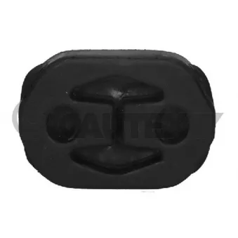 Suspension, échappement CAUTEX 756653