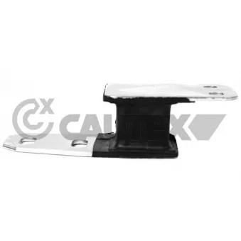 Suspension, échappement CAUTEX 756678