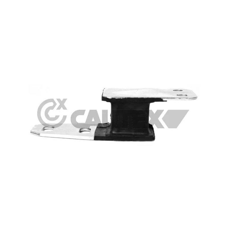 Suspension, échappement CAUTEX 756678