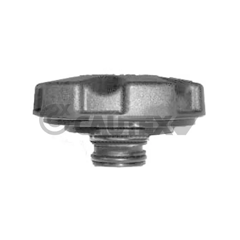 Bouchon, réservoir de liquide de refroidissement CAUTEX 756763