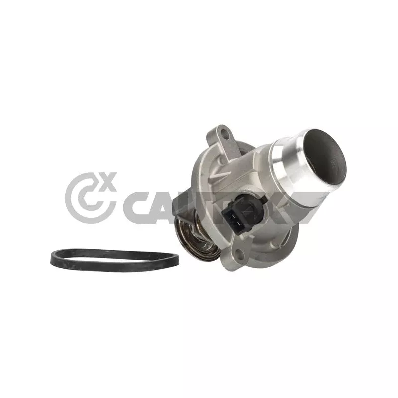 Bride de liquide de refroidissement CAUTEX 756840