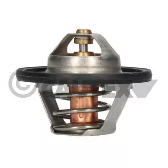 Thermostat, liquide de refroidissement CAUTEX 756862