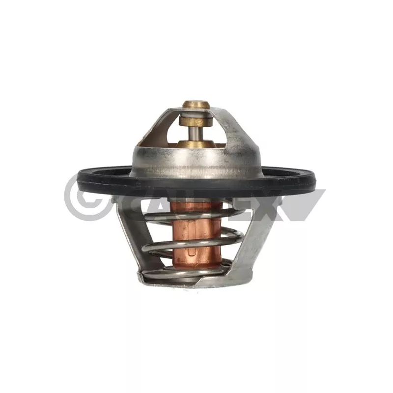 Thermostat, liquide de refroidissement CAUTEX 756862