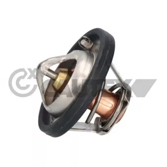 Thermostat, liquide de refroidissement CAUTEX 756865