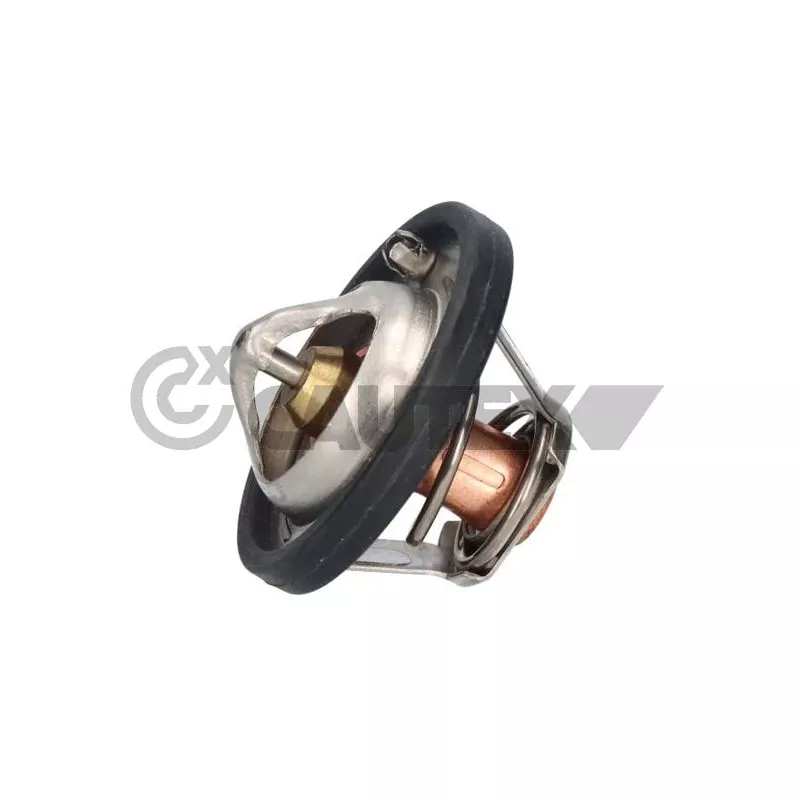 Thermostat, liquide de refroidissement CAUTEX 756865