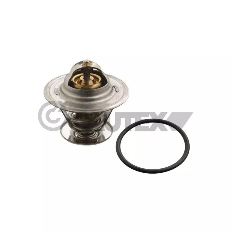 Thermostat, liquide de refroidissement CAUTEX 756866
