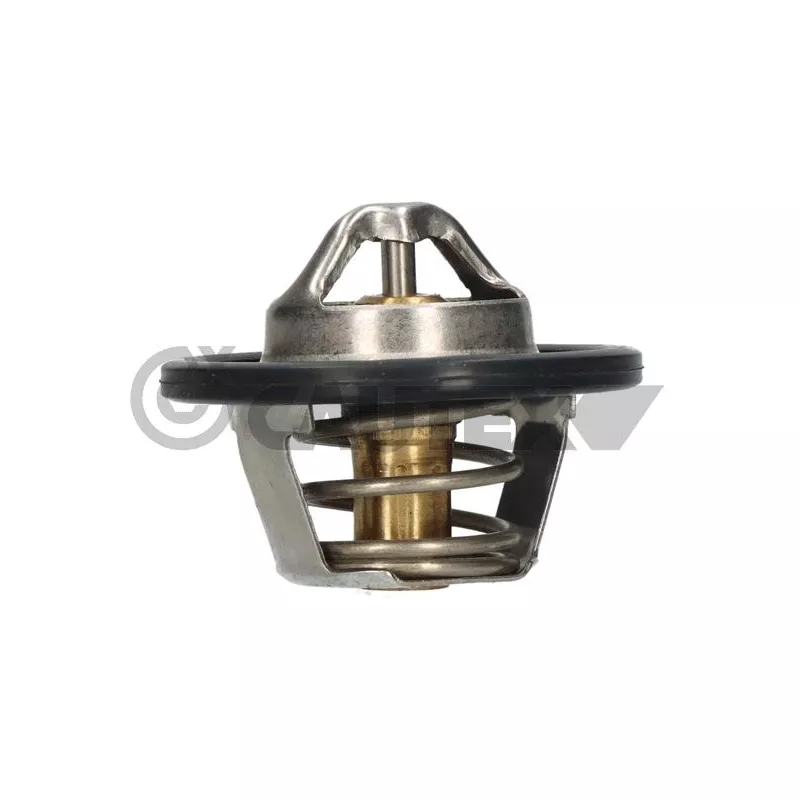 Thermostat, liquide de refroidissement CAUTEX 756871