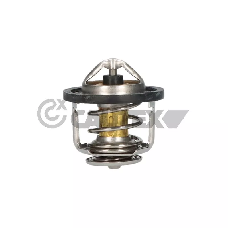 Thermostat, liquide de refroidissement CAUTEX 756872