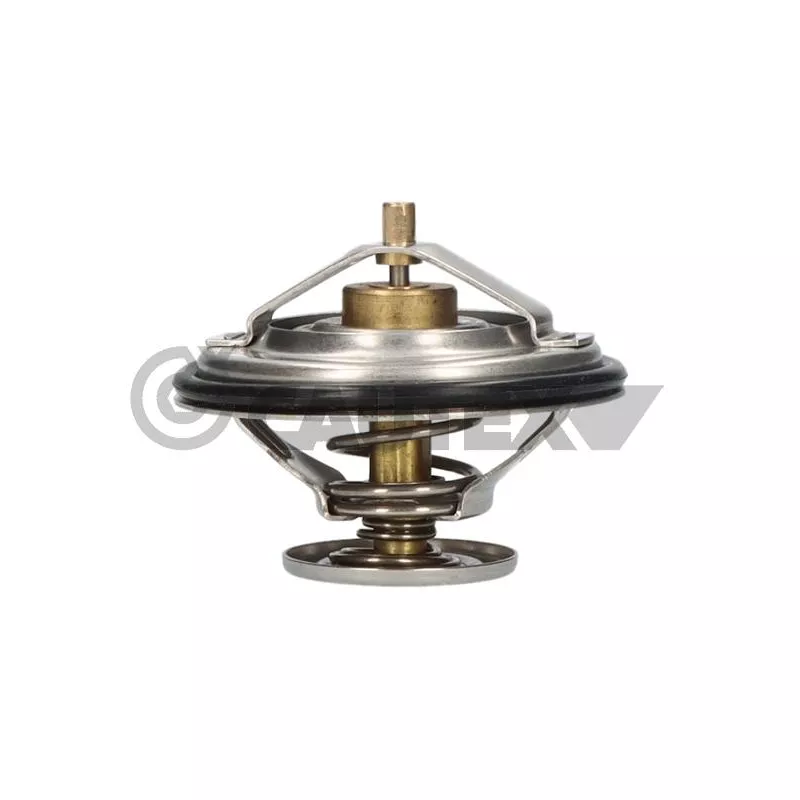 Thermostat, liquide de refroidissement CAUTEX 756873