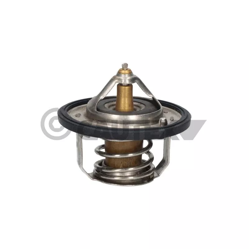 Thermostat, liquide de refroidissement CAUTEX 756878