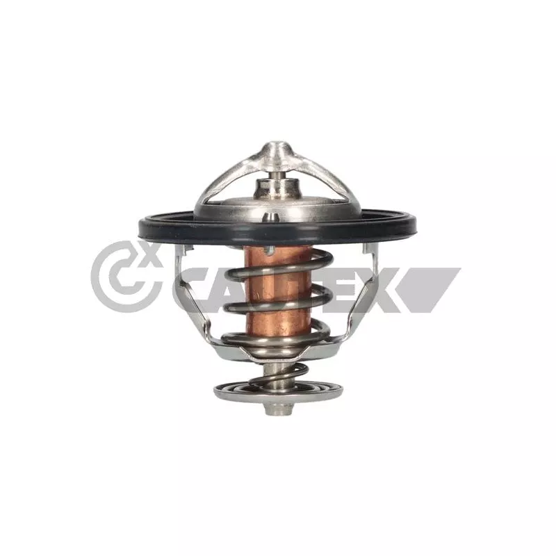 Thermostat, liquide de refroidissement CAUTEX 756879
