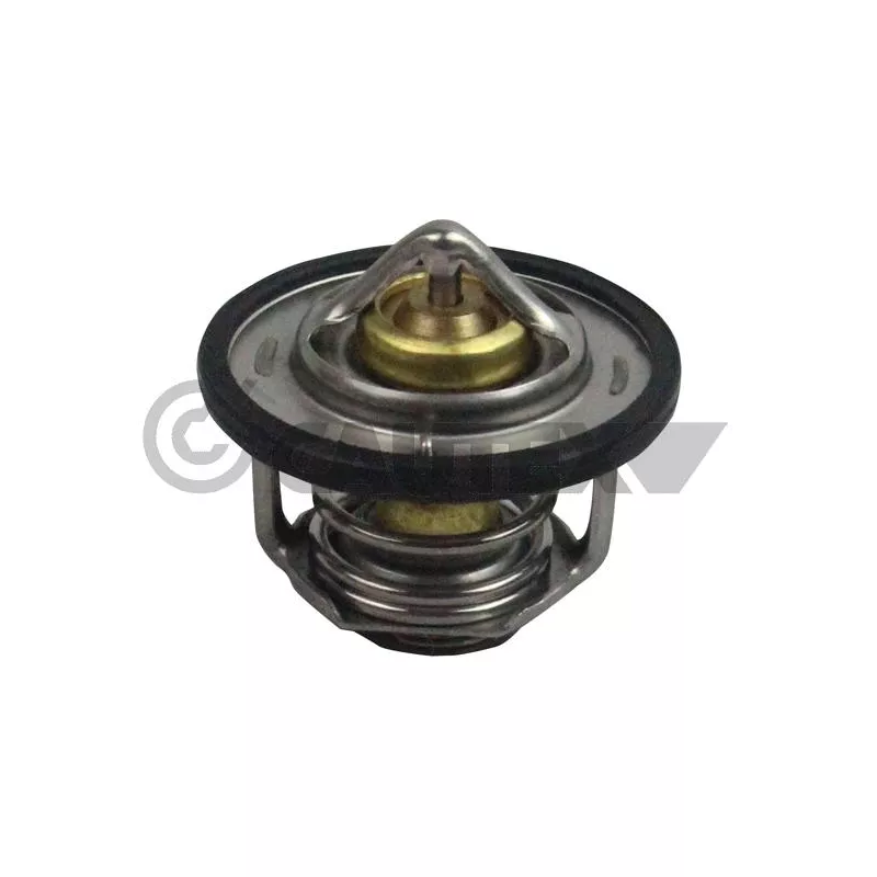 Thermostat, liquide de refroidissement CAUTEX 756880