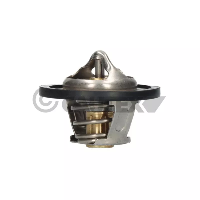 Thermostat, liquide de refroidissement CAUTEX 756881