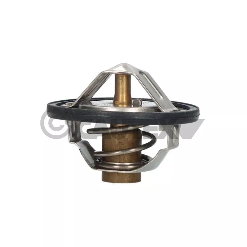 Thermostat, liquide de refroidissement CAUTEX 756887