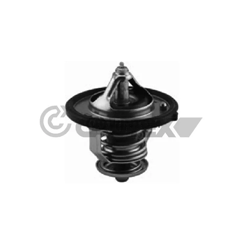 Thermostat, liquide de refroidissement CAUTEX 756888