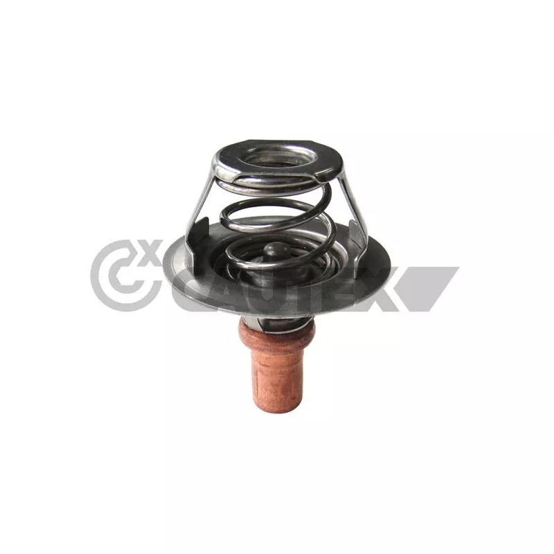 Thermostat, liquide de refroidissement CAUTEX 756889