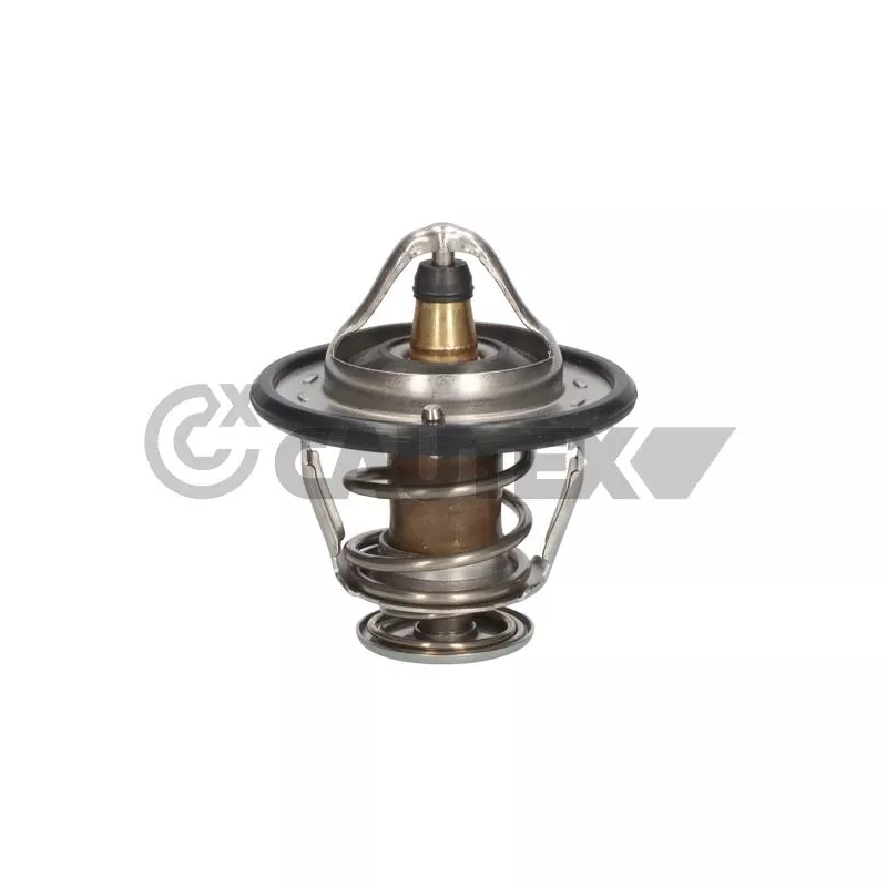 Thermostat, liquide de refroidissement CAUTEX 756890
