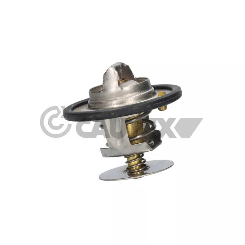 Thermostat, liquide de refroidissement CAUTEX 756891