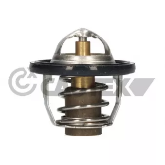 Thermostat, liquide de refroidissement CAUTEX 756893